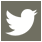 Twitter Logo